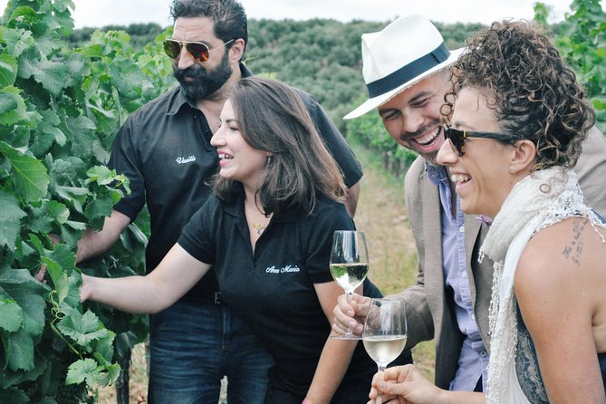 Semi-Private Wine Discovery Tour in Chania - Quick reasons this Chania wine tour feels worth it