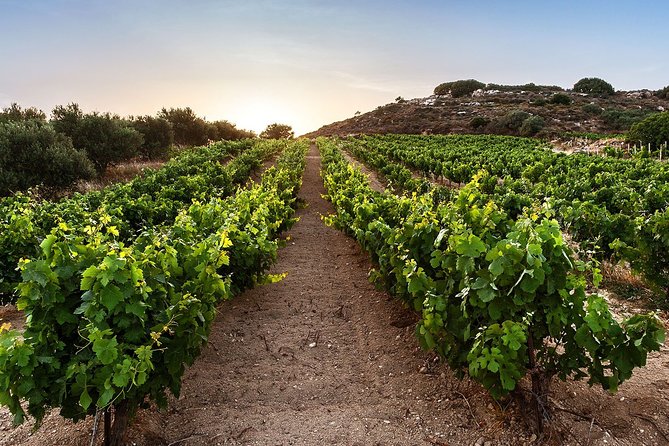 Semi Private Wine Tour of 2 wineries with Transfer and Lunch - Price and what makes this day feel worth it