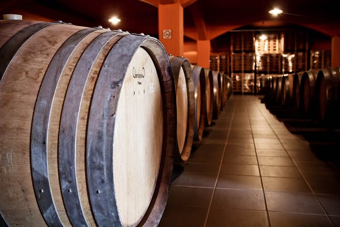 Semi Private Wine Tour of 2 wineries with Transfer and Lunch - Winery Stilianou: vineyard walk and the indigenous-grape focus