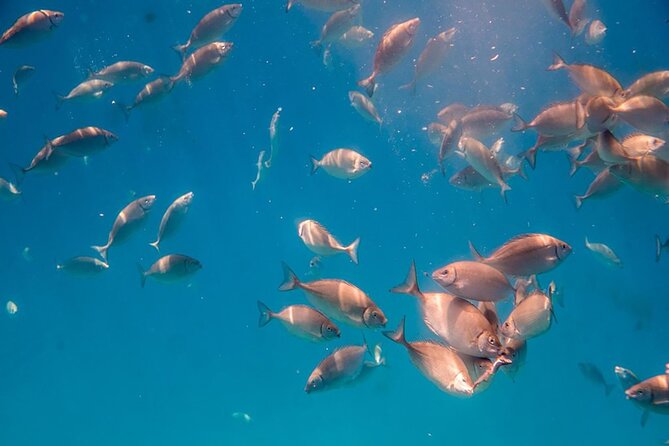 Semi-Submarine Tour from Agios Nikolaos - Stop 2: Up top for Agios Nikolaos views and coastal hotel spotting