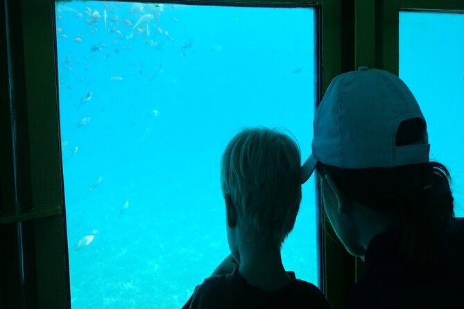 Semi-Submarine Tour from Agios Nikolaos - Staff and flow: the difference between smooth and chaotic