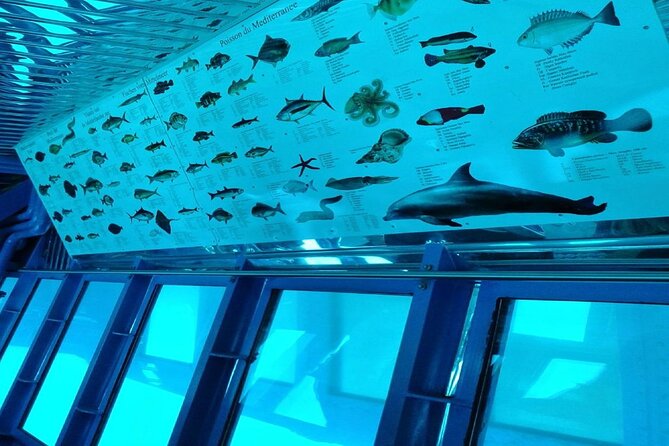 Semi-Submarine Tour from Agios Nikolaos - Is it worth $18.92? A value reality check