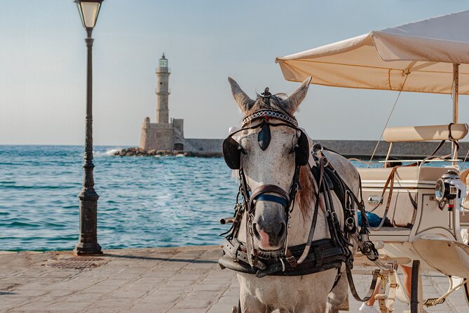 Shore Escape: Chania, Monastery & Olive Oil Tasting - Key Highlights You’ll Feel Immediately