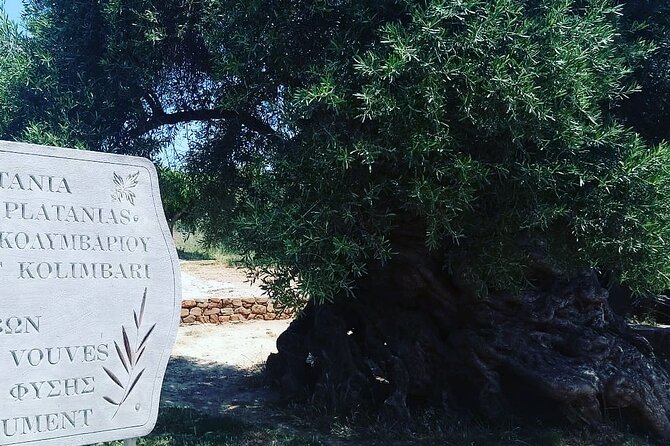 Sips of Crete: Flavors, Legends & Hidden Gems - A West Crete day that mixes sips with real places