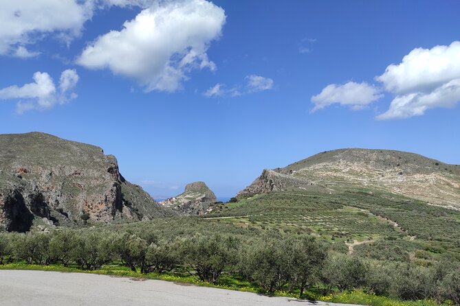 Sips of Crete: Flavors, Legends & Hidden Gems - Vouves’ Monumental Olive Tree: the short photo stop with real emotional weight