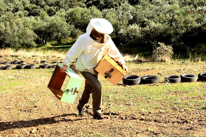 Small-Group Honey & Extra Virgin Olive Oil Tasting Tour in Crete - Key Things You Should Know