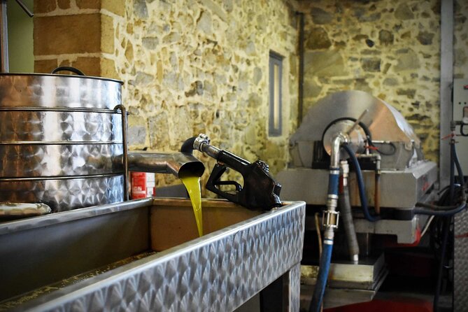 Small-Group Honey & Extra Virgin Olive Oil Tasting Tour in Crete - Visiting the Idiosmos Family Farm: 60 Minutes That Go Fast