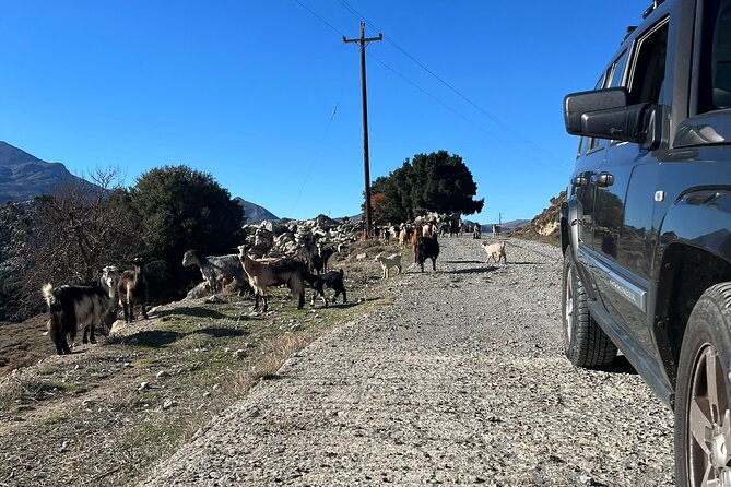 Small Group Jeep Safari Through Lassithi Myths and Flavors - Marmaketo Lunch: Family Tavern Food That Actually Keeps You Going