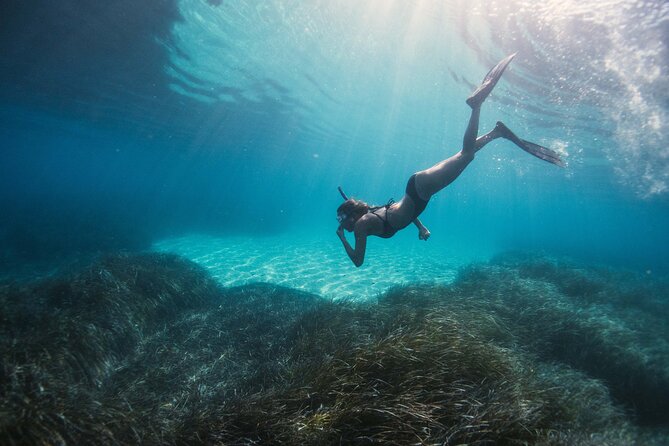 Snorkeling and Sailing In Crete’s Hidden Coastal Gems - Key Highlights You’ll Feel Immediately