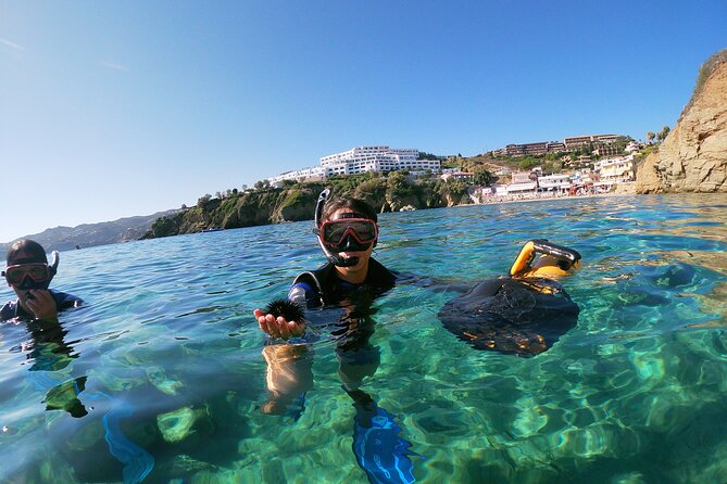 Snorkeling Tour with Sea Scooter in Heraklion - Should you book this Heraklion-area sea scooter snorkeling tour?