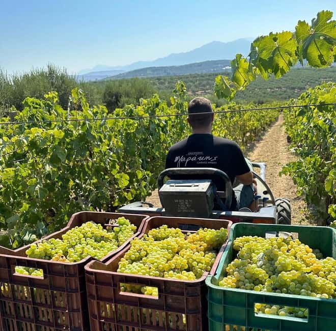 Soap, Wine, Raki, Olive Oil, Meet the local Producers Tour - Crete in One Route: Soap, Olive Oil, Wine, and Raki
