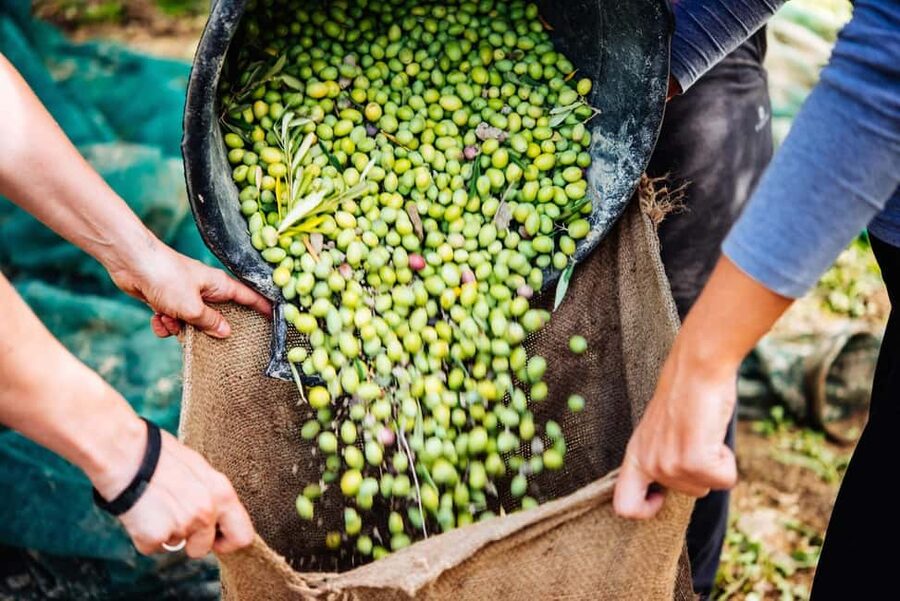 Soap, Wine, Raki, Olive Oil, Meet the local Producers Tour - The Ride Between Villages: Where the Day Really Lives