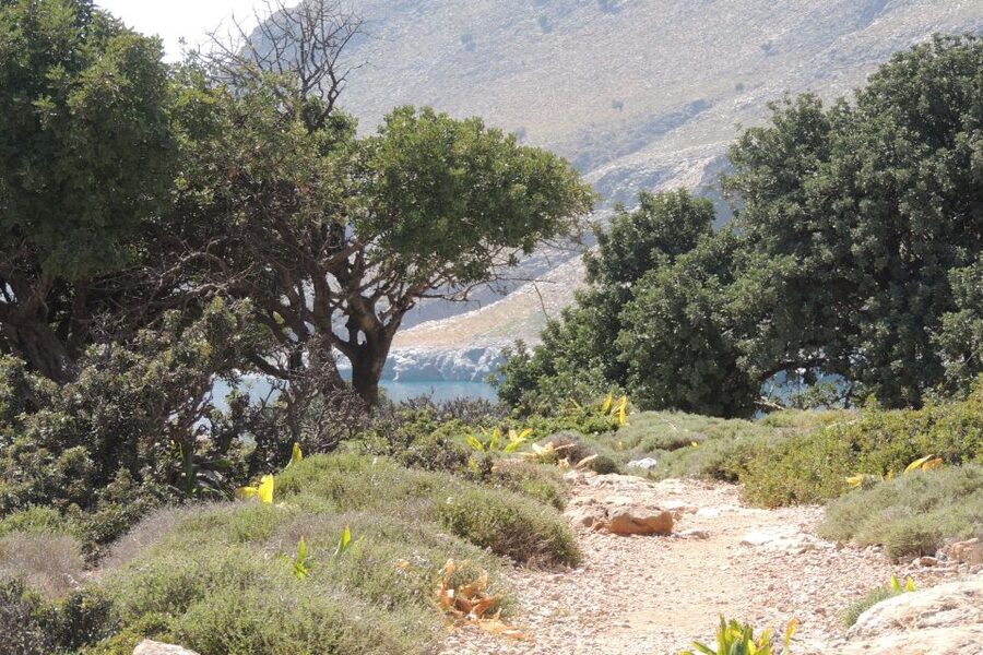 South Crete: Sarakinas Gorge Hike, Swim & Jeep Safari - Pickup, Drop-Off, and the Jeep Reality Check