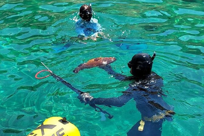 Spearfishing in Chania, Crete (price is per group) - Key highlights before you book