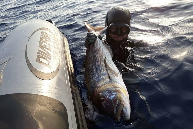 Spearfishing in Chania, Crete (price is per group) - Weather matters: when conditions change, your plan can change