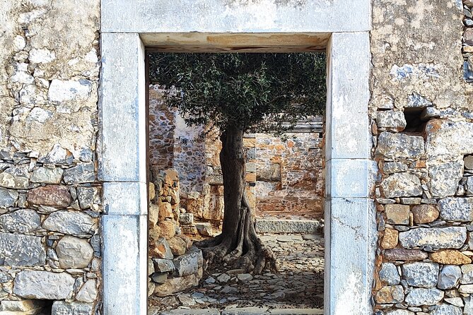 Spinalonga, Plaka, Elounda, Agios Nikolaos & Olive Mill | Private - A private van day from Heraklion that moves at Cretan speed