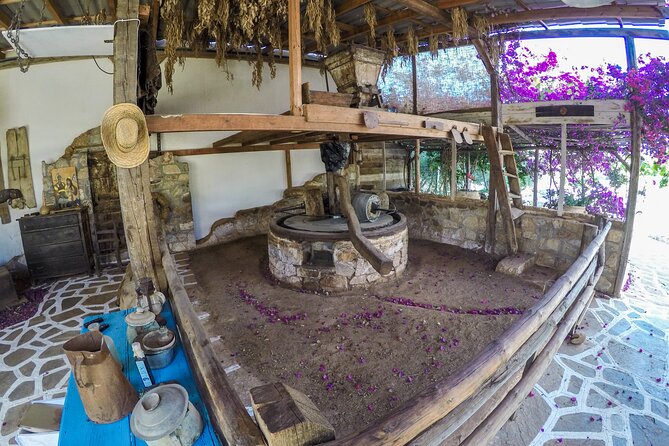 Spiridi Olive Oil Farm Tour - Spiridi Olive Oil Farm: a small family stop built for real flavor