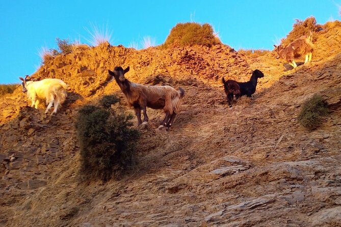 Sunset Jeep Tour in Crete - Stop 2: Aposelemis Dam and the Submerged Village of Sfendili