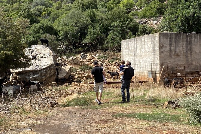 The Cretan Way of Life at the mountains of Rethymno (Mylopotamos) - Key moments you’ll remember