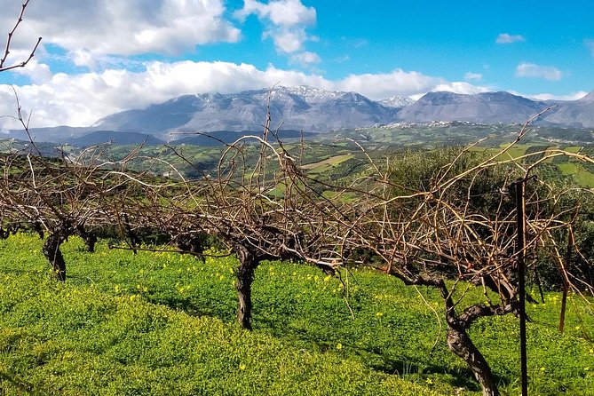 The Gourmet Wine Tour of Heraklion area - Who this tour suits best (and who should pass)
