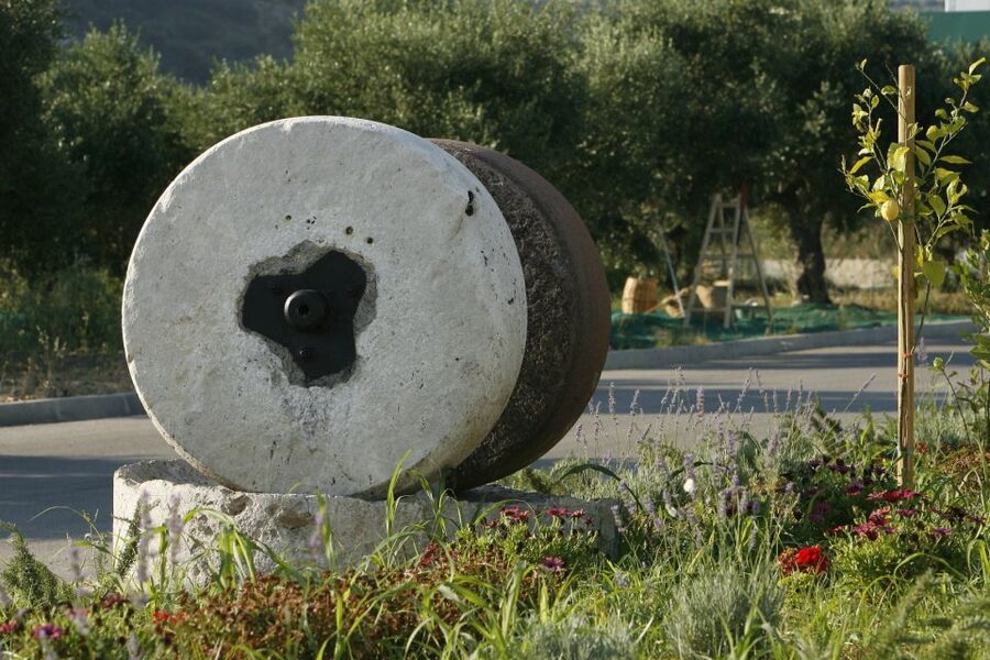 The Terra Creta Olive Oil Experience Tour - The Production Tour: Harvest to Bottling, Without the Time Sink