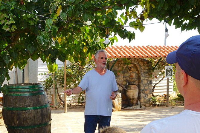 Traditional Olive Oil Making at Spiridi Olive Oil Farm - Crete - The farm beyond olive oil: wine, cheese, honey, cooking, and tablets