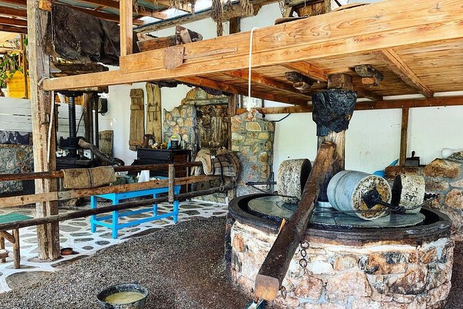 Traditional Olive Oil Making at Spiridi Olive Oil Farm - Crete - Small practical tips so your day feels smooth