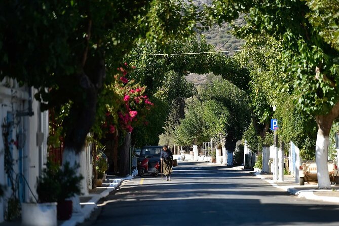 Traditional Villages of Kritsa and Kroustas - What’s included on the ride: water, soda, and how to plan meals