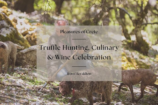 Truffle Hunting, Culinary & Wine Celebration from Heraklion - Key things you’ll love about this Heraklion truffle and wine day