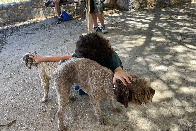 Truffle Hunting, Culinary & Wine Celebration from Heraklion - Heraklion to Dikti: a Cretan breakfast stop that sets the tone