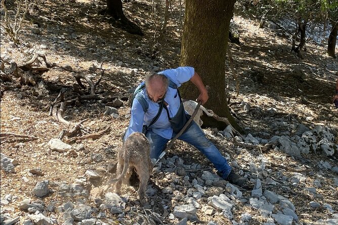 Truffle Hunting, Culinary & Wine Celebration from Heraklion - Cave of Zeus, Minoan footsteps, and the Kera Kardiotissa monastery