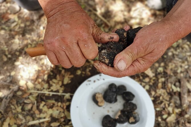 Truffle Hunting, Culinary & Wine Celebration from Heraklion - Private chauffeur comfort: saving energy for the good parts