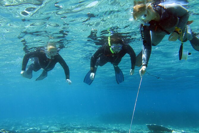 Try Snorkeling in the Sea with the Blue Dolphin Team - The two-part program: safety and gear before you try anything