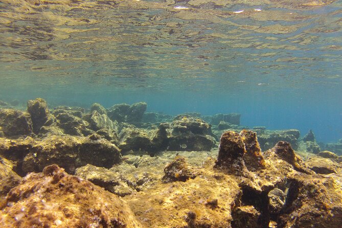 Try Snorkeling in the Sea with the Blue Dolphin Team - Guide Yanni and the “patient teacher” advantage
