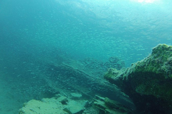 Try Snorkeling in the Sea with the Blue Dolphin Team - Price and what you’re really paying for: $42.33 for instruction + time