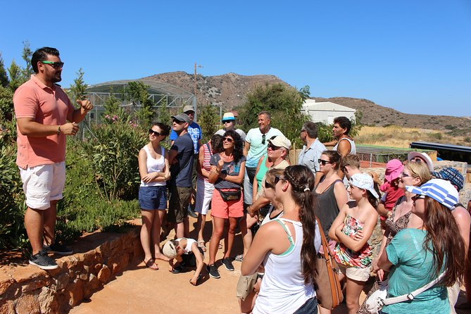 Unknown East - Agios Nikolaos Kritsa and Amazonas Park - Price and value: what $63.60 really buys you