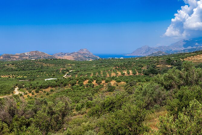 Wine, Beer, Olive Oil Tasting Private Tour (price per group of 6) - Stop 5: Gonia Monastery (13th century) as a calm cultural finish