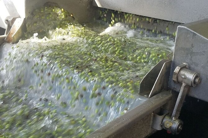 Wine, Olive Oil, and Honey Tour with Winemaker - Tsikoudia and Regional Treats Instead of the Typical Tourist Trap