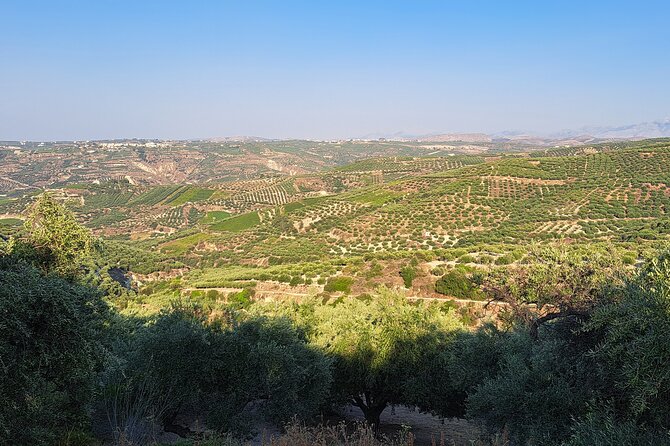 Wine Raki Olive Oil Tasting and Pottery - Private Tour - Stop 3 in Alagni: Lyrarakis Winery and the 5-wine tasting