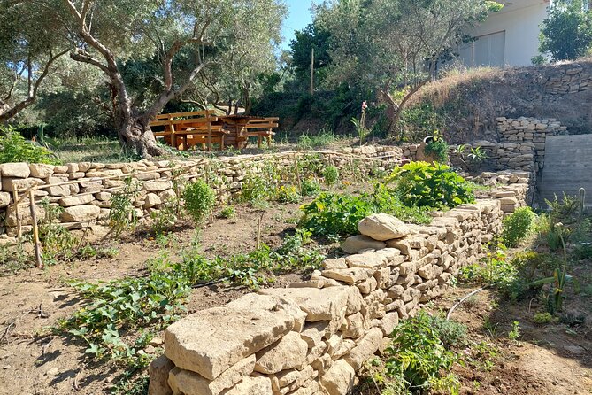 Wine Tasting: Meet the Cretan Vineyard at West Chania - The winemaking story: history with practical meaning