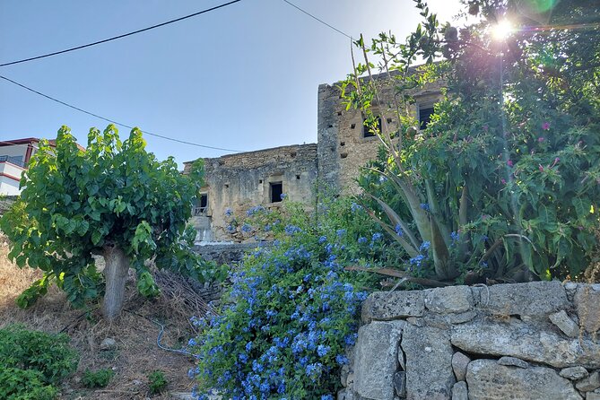 Wine Tasting: Meet the Cretan Vineyard at West Chania - Price and value: what you’re paying for at $60.01
