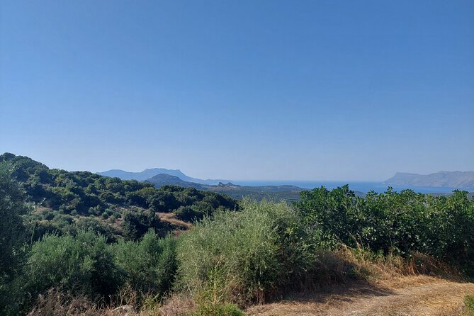 Wine Tasting: Meet the Cretan Vineyard at West Chania - Pairing that actually makes sense: cheese, pies, honey, olive oil