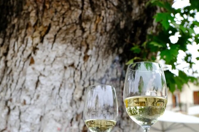 Wine Tasting Walking Tour in Old Town Chania - Old Venetian Harbor stop: lighthouse views plus snack pairings