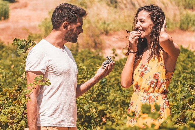 Your Private Driver & Chauffeur Service in Crete from Elounda - In-Car Comfort: Wi-Fi, USB Sockets, Snacks, and Hygiene Extras