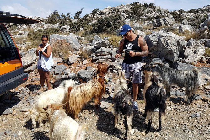 Zeus Cave, Lassithi Plateau, Olive Oil Factory, Kritza, Pottery - Windmills of Lassithi plus a taste of mountain life